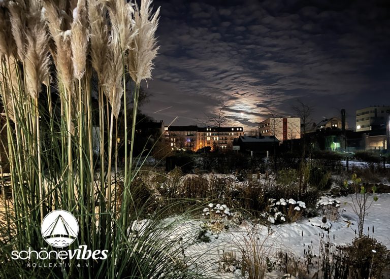 Ulrich Raschke, SchöneVibes Kollektiv e.V., Oberschöneweide